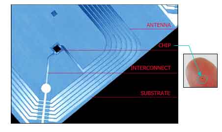 RFID CHIP (IC)